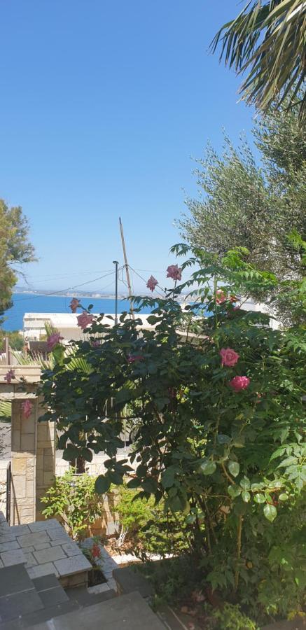 Redsun Apartment Vlore Bagian luar foto